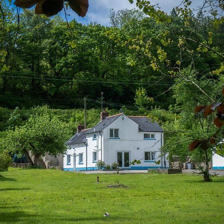 Tucking Mill - 3 Bedroom Holiday Home - Stepaside Stepaside  Buitenkant foto